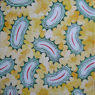 Viral Pickles